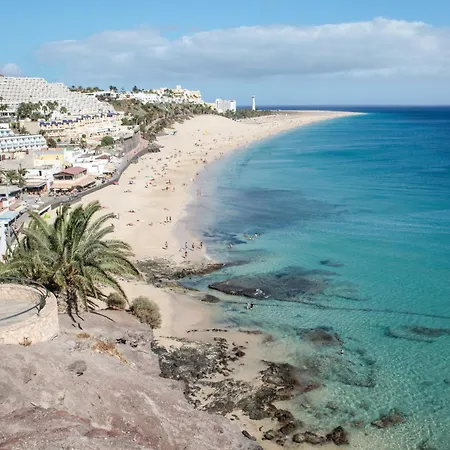 Palm Garden With Sea Views To The Pools And